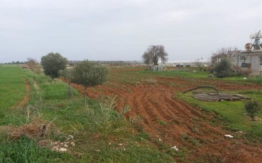 Gazimağusa Mormenekşe Satılık Arazi