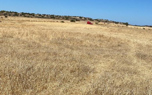 İskele Yedikonuk Satılık Arazi