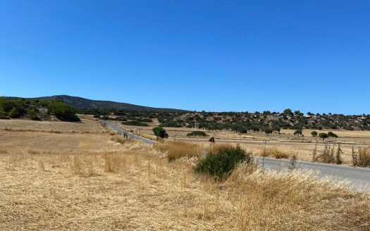 İskele Yedikonuk Satılık Arazi