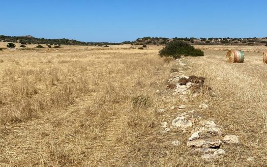 İskele Yedikonuk Satılık Arazi