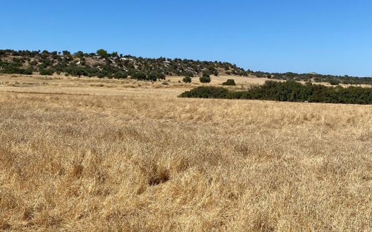 İskele Yedikonuk Satılık Arazi