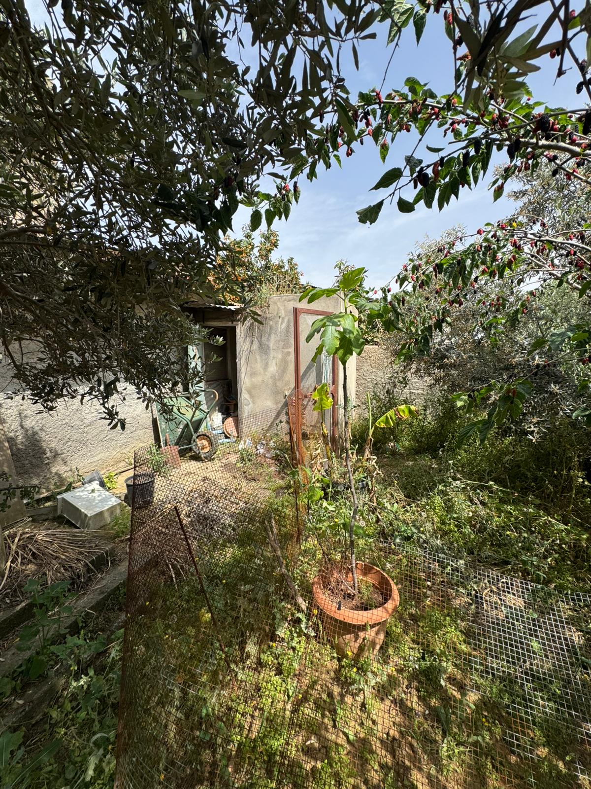 Gazimağusa İnönü Satılık 2+1 Müstakil Ev